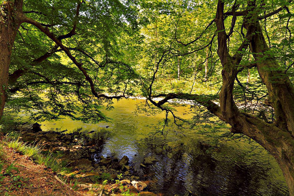 Die Wupper in Solingen