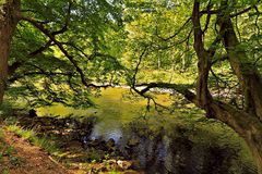 Die Wupper in Solingen