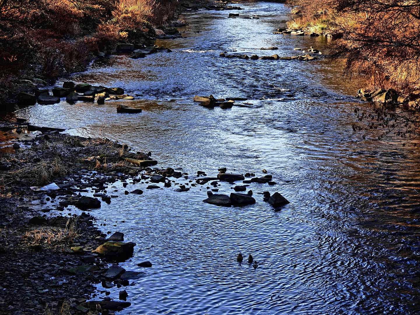 Die Wupper in Wuppertal-Sonnborn