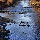 Die Wupper in Wuppertal-Sonnborn