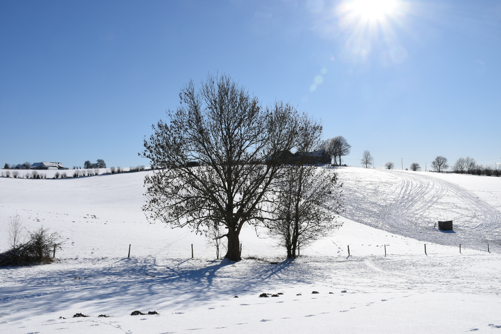 Die Wuppertaler Südhöhen im Winter 