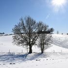 Die Wuppertaler Südhöhen im Winter 