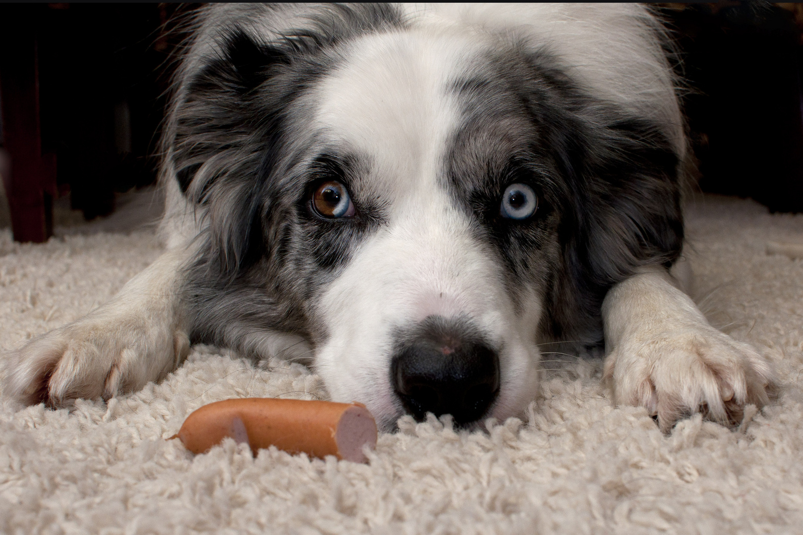 Die Wurst zum Sonntag