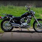 Die Yamaha Virago 535