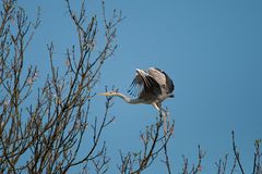 Die Youngster fliegen bereits