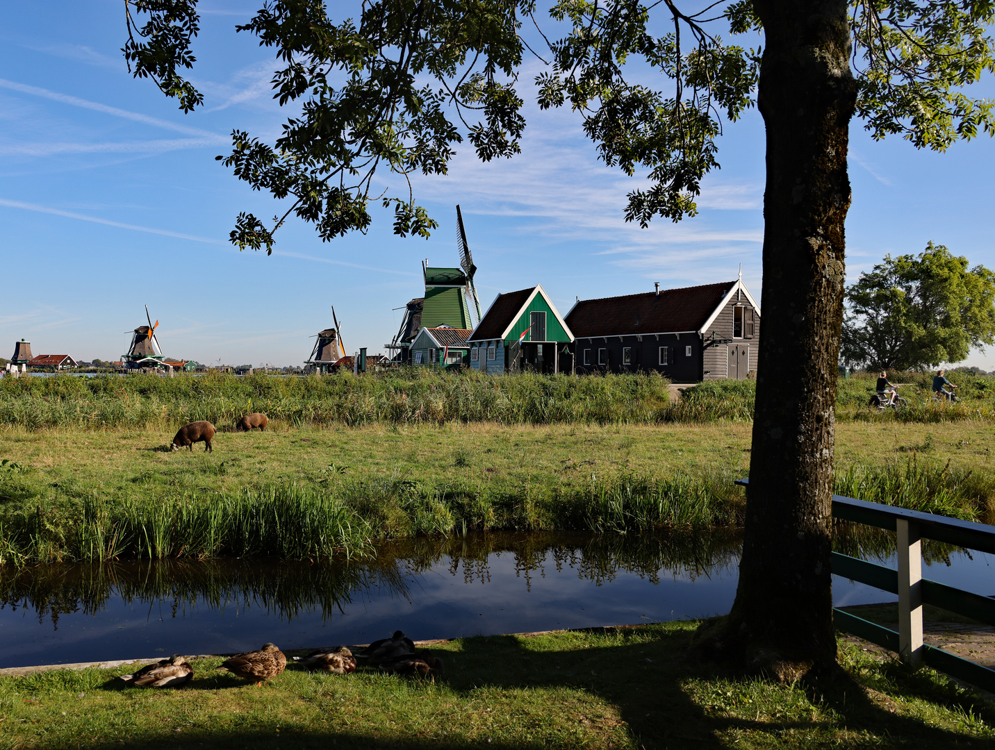 Die Zaanse Schans