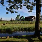 Die Zaanse Schans