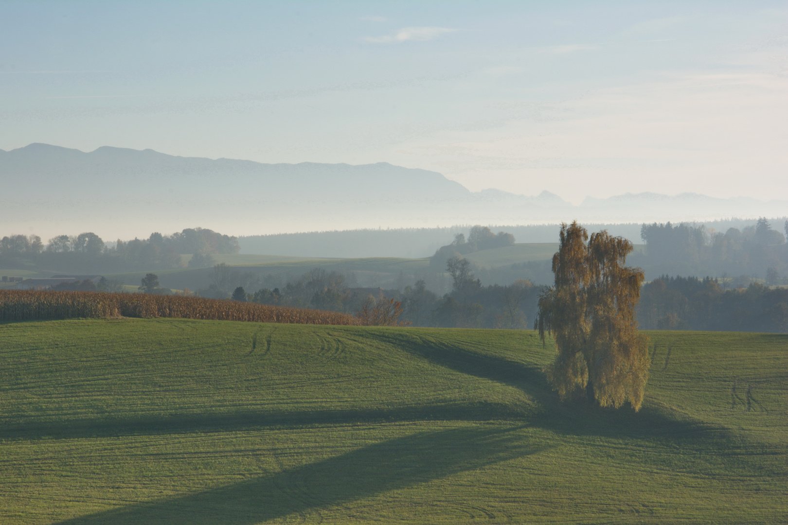 die zarten Farben des Herbstes...