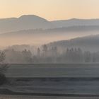 Die zarten Farben des Morgens....