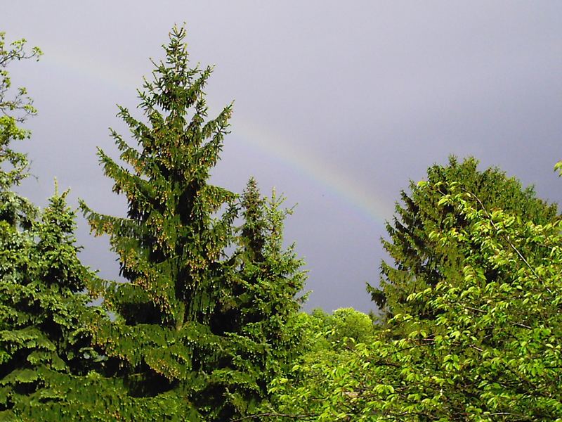 Die zarten Farben des Regenbogens