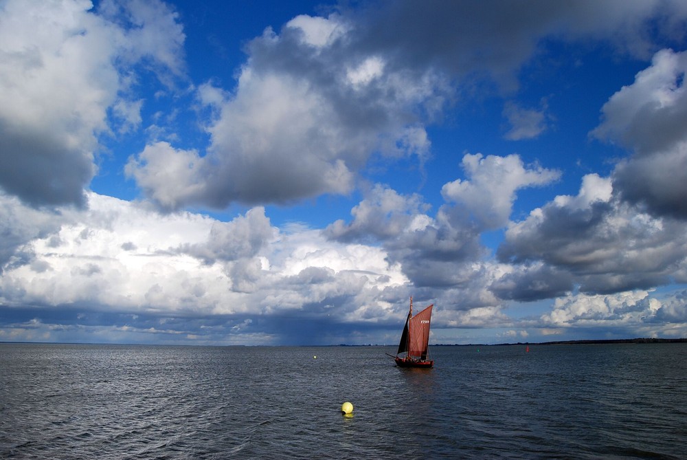 die Zeese auf dem Bodden - Hafen Dierhagen