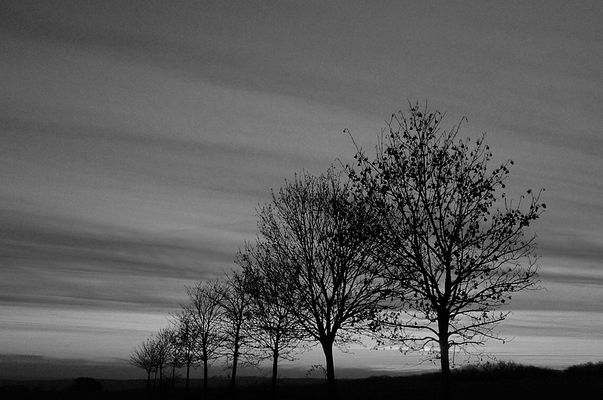 Die zehn Schwestern auf dem Berge