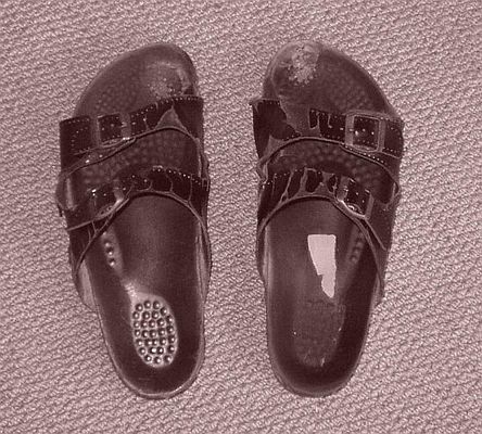 Die Zeichen der Zeit