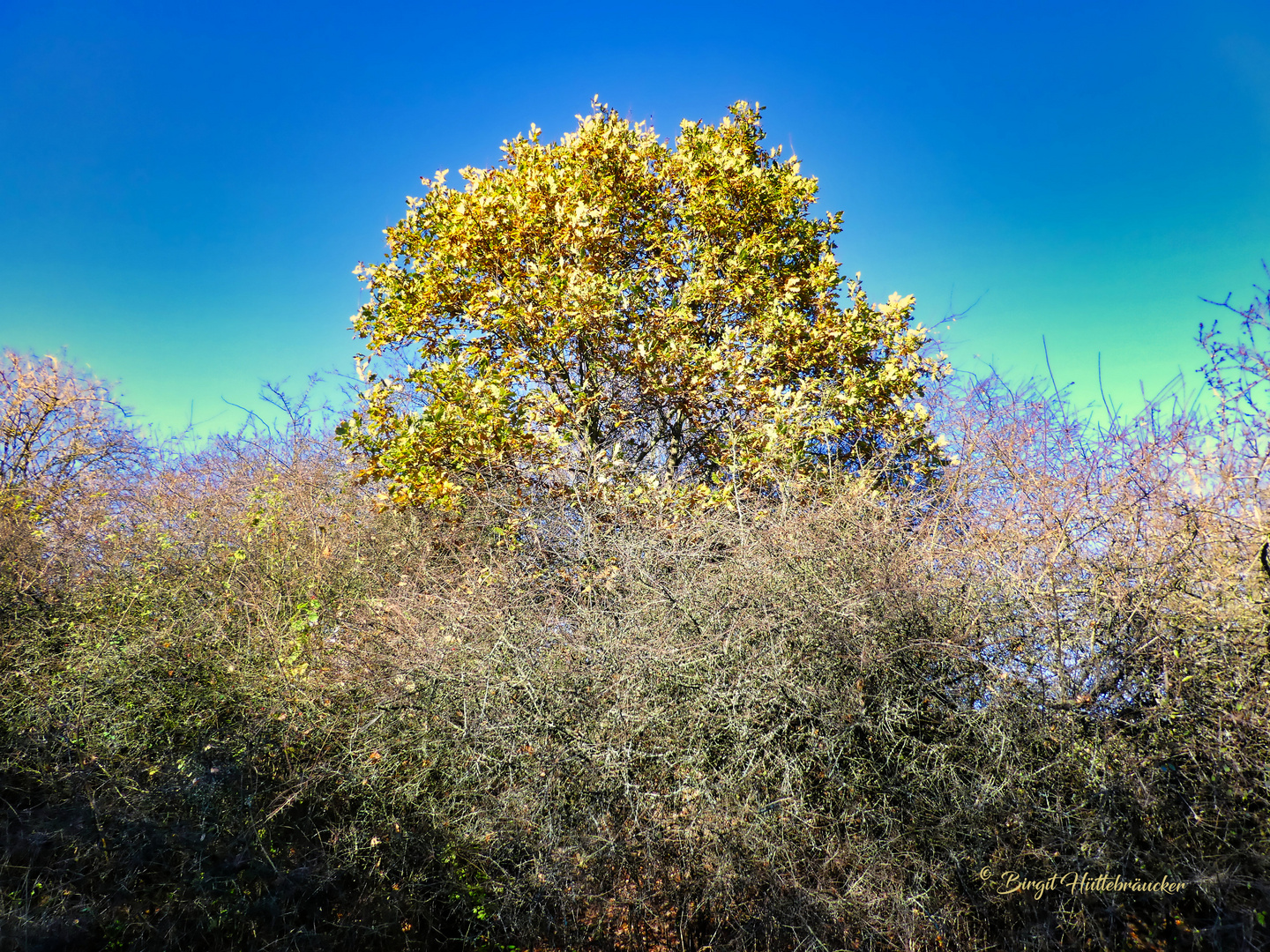 Die Zeichen stehen auf Herbst