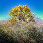 Die Zeichen stehen auf Herbst