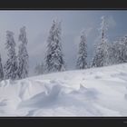 Die Zeichen stehen auf Sturm