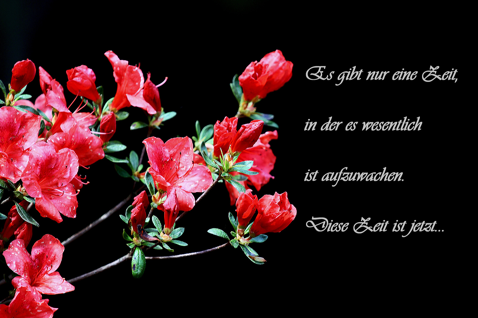 ...die Zeit...