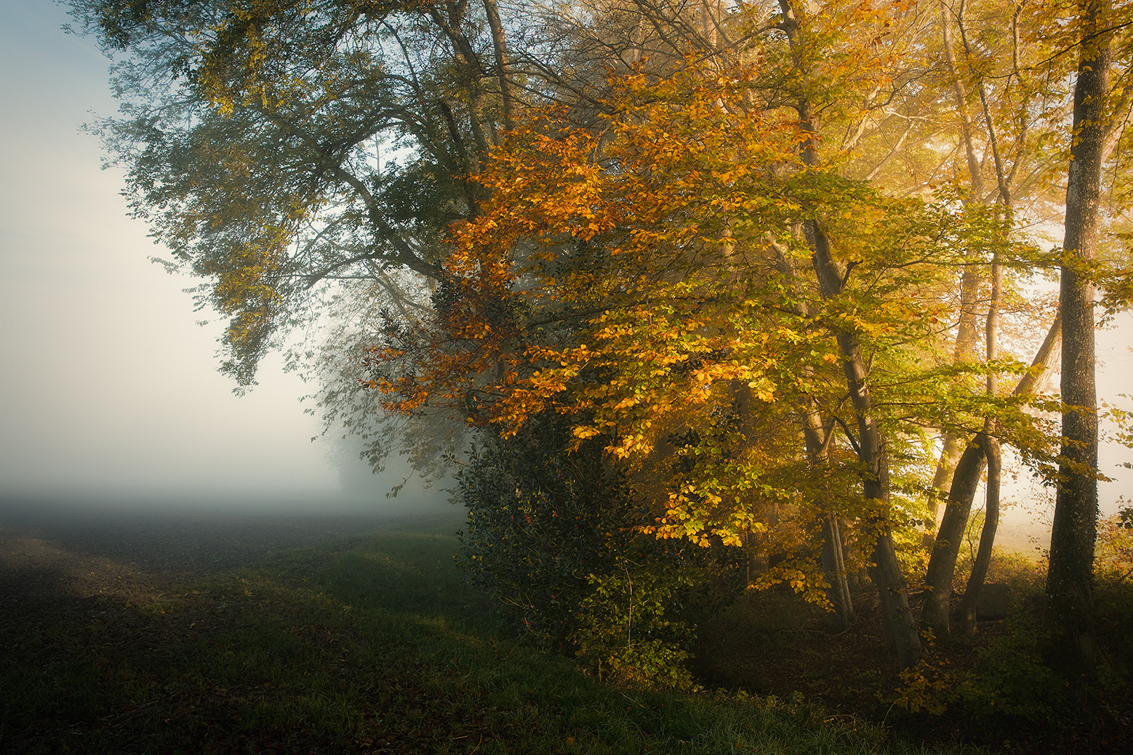 die Zeit der Farben