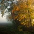 die Zeit der Farben