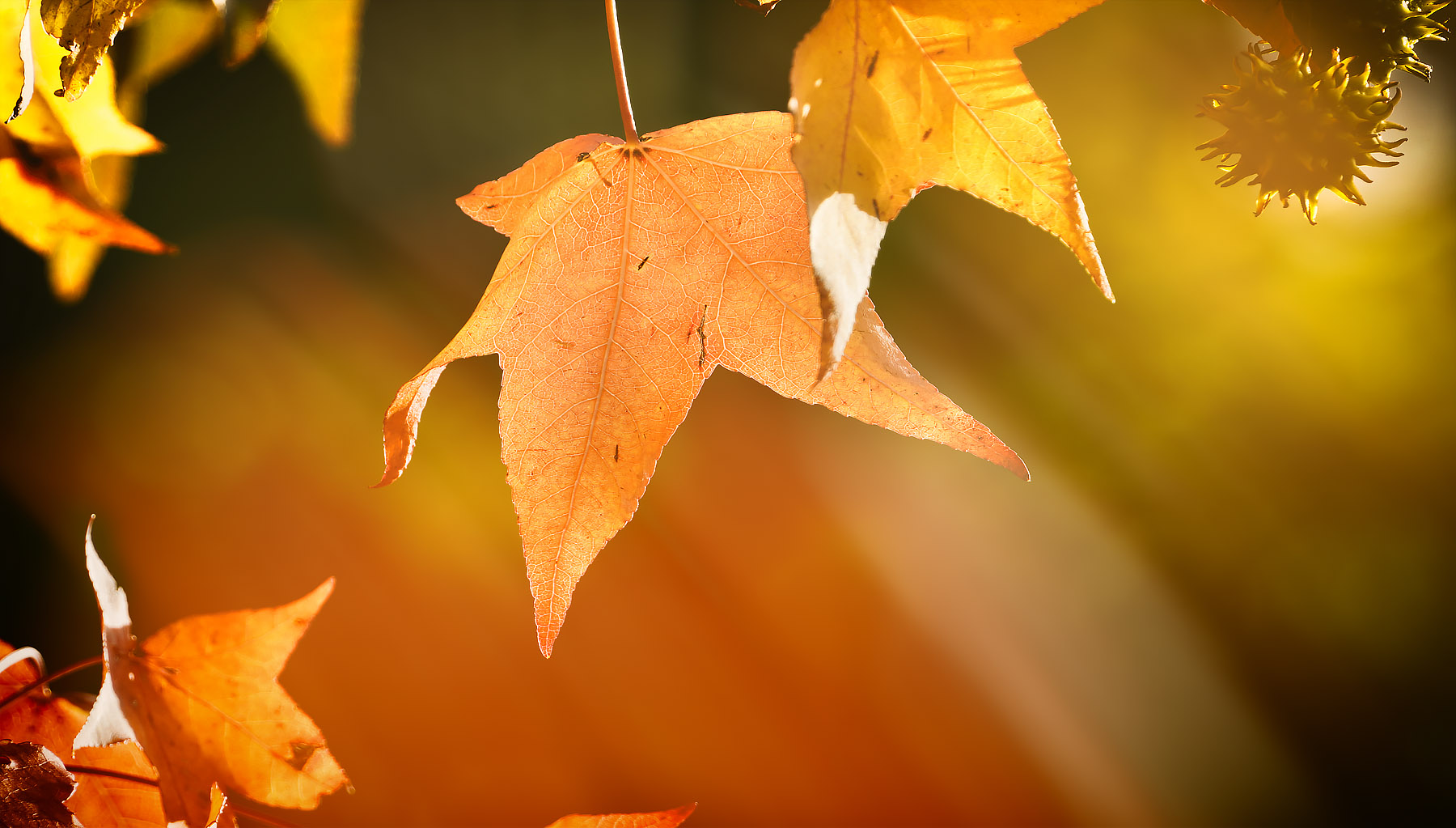 die zeit der farben ...