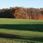 Die Zeit der langen Schatten