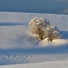 Die Zeit der langen Schatten.