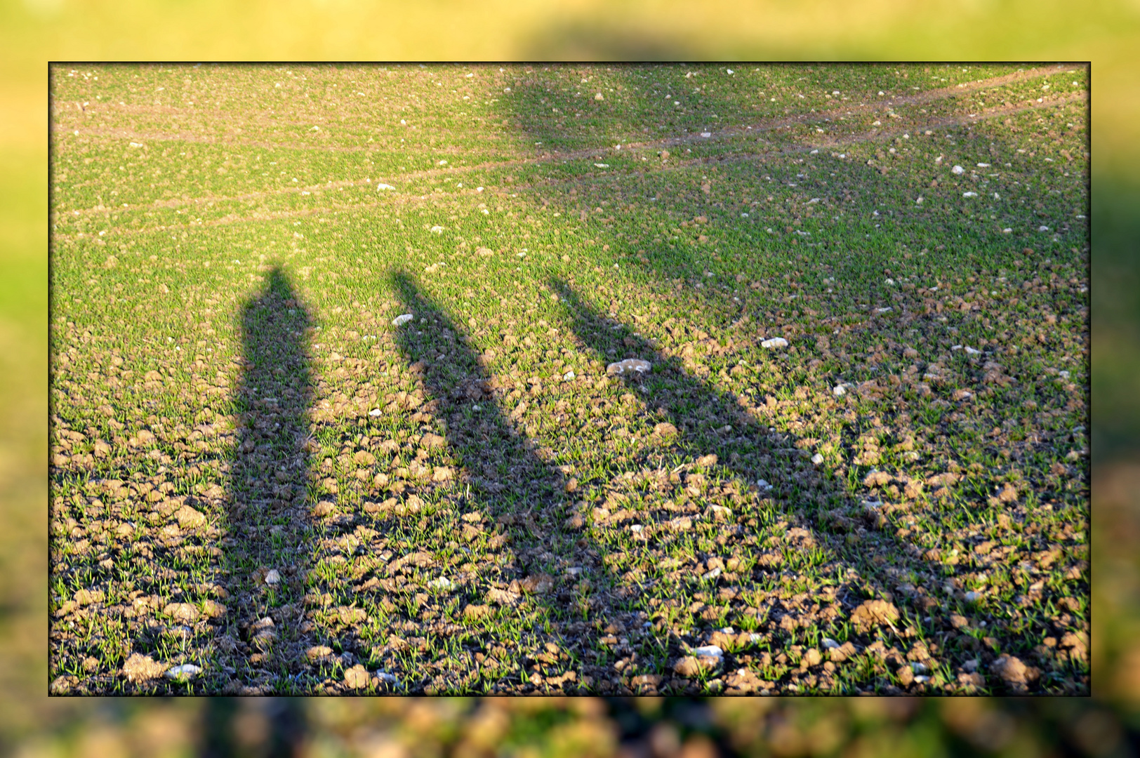 Die Zeit der langen Schatten ...