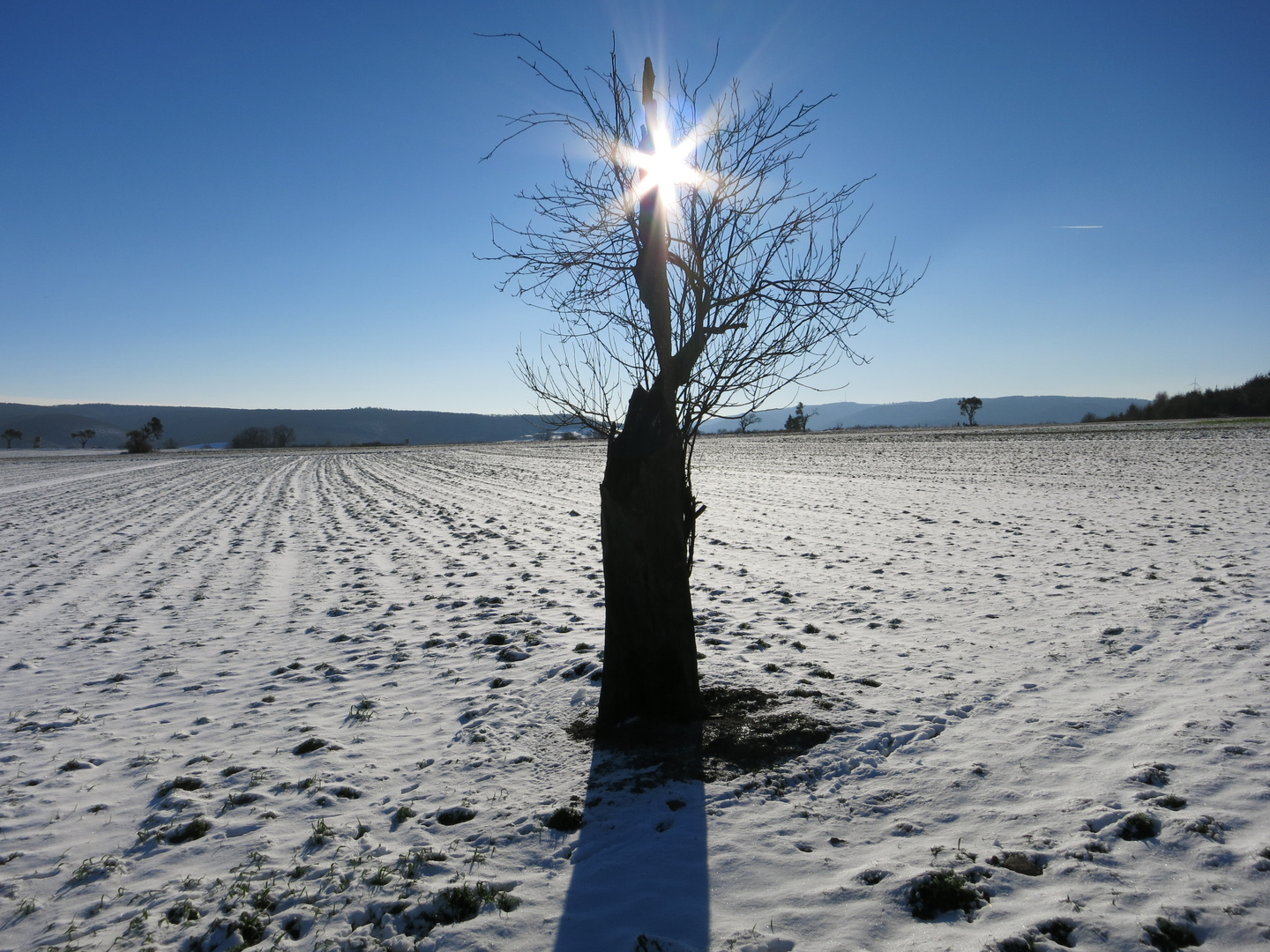 Die Zeit der langen Schatten