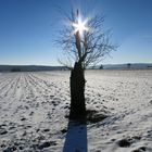 Die Zeit der langen Schatten