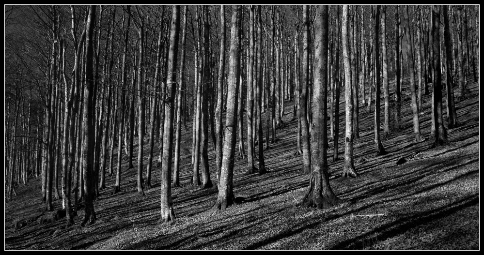 die Zeit der langen Schatten...