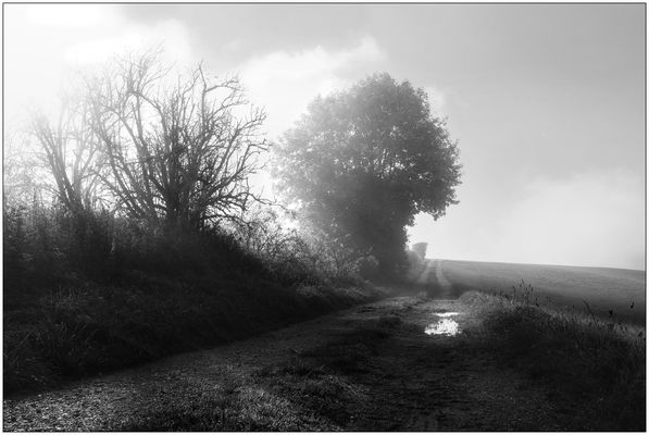 die Zeit der Pfützen und Nebel