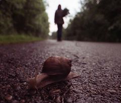 Die Zeit der Schnecke