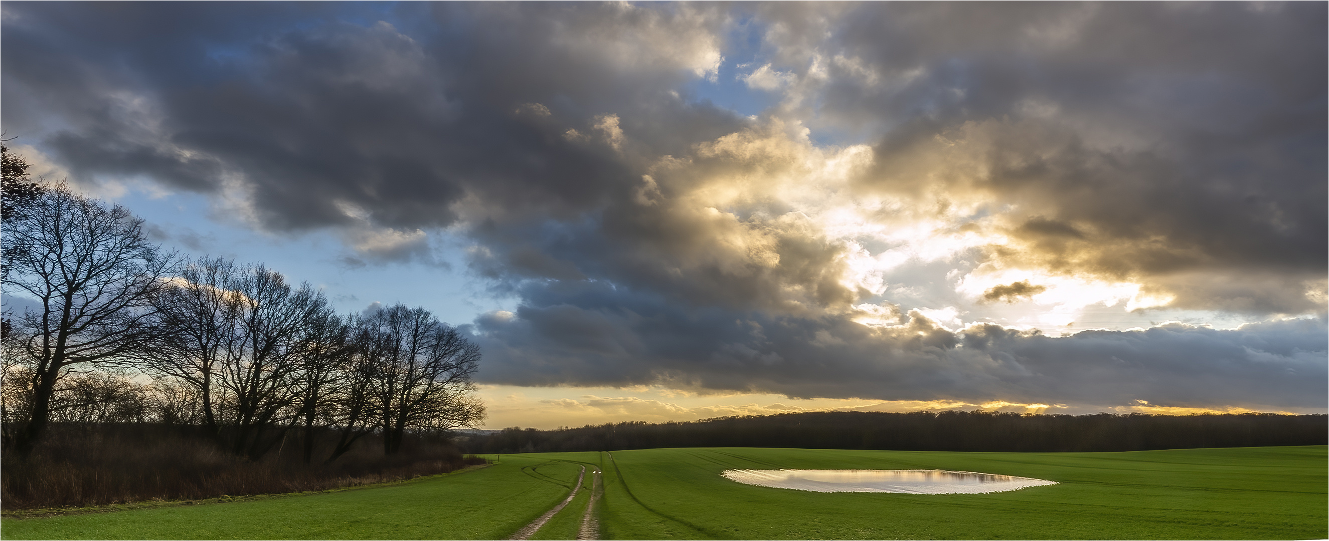 … Die Zeit der Teichgeburten …