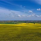 Die Zeit ist wieder ran - gelb, grün und blau bestimmen die Farben in Vorpommern...