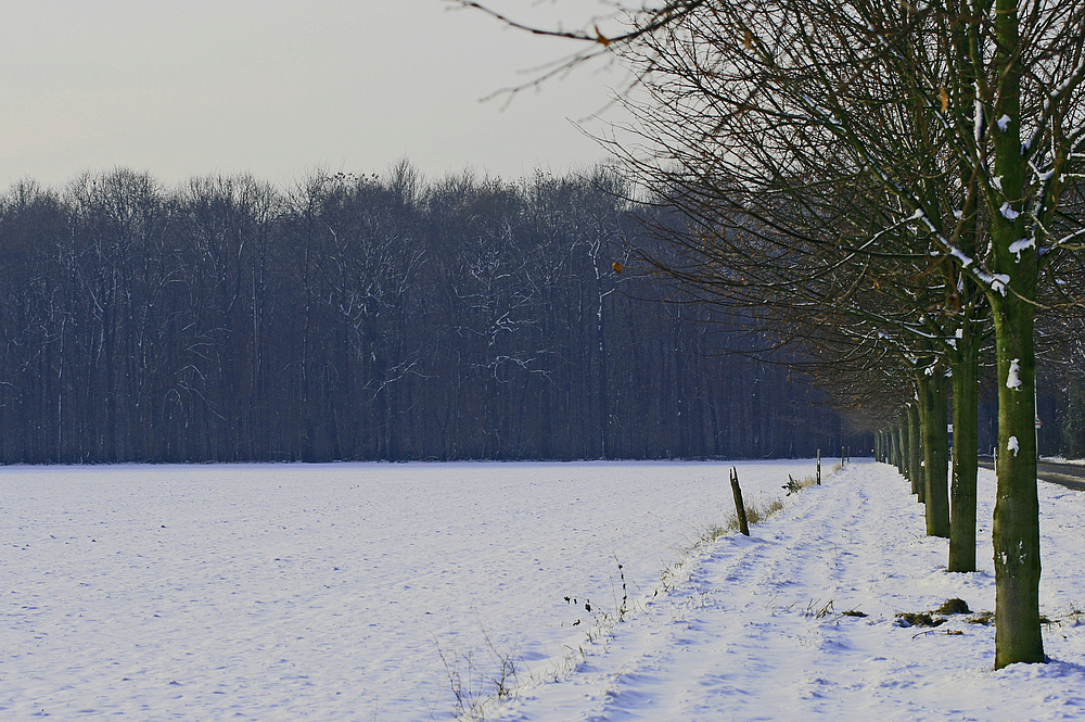 Die Zeit rast...