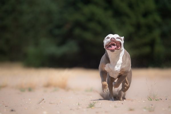 Die Zeit rennt, aber ich bin schneller! 