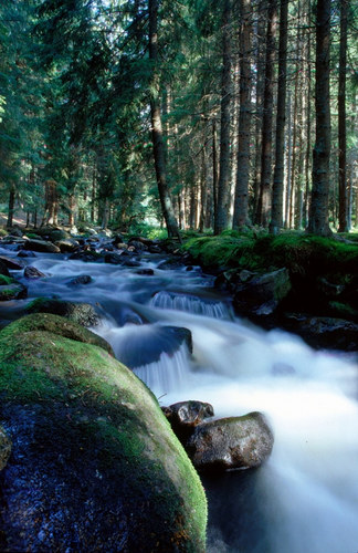 Die Zeit steht still im Böhmerwald