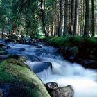 Die Zeit steht still im Böhmerwald