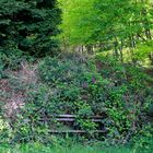 die zeit und natur umarmt uns, wenn wir sie nur lassen!!