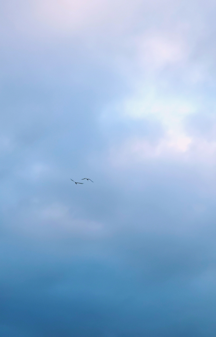 Die Zeit vergeht im Flug 