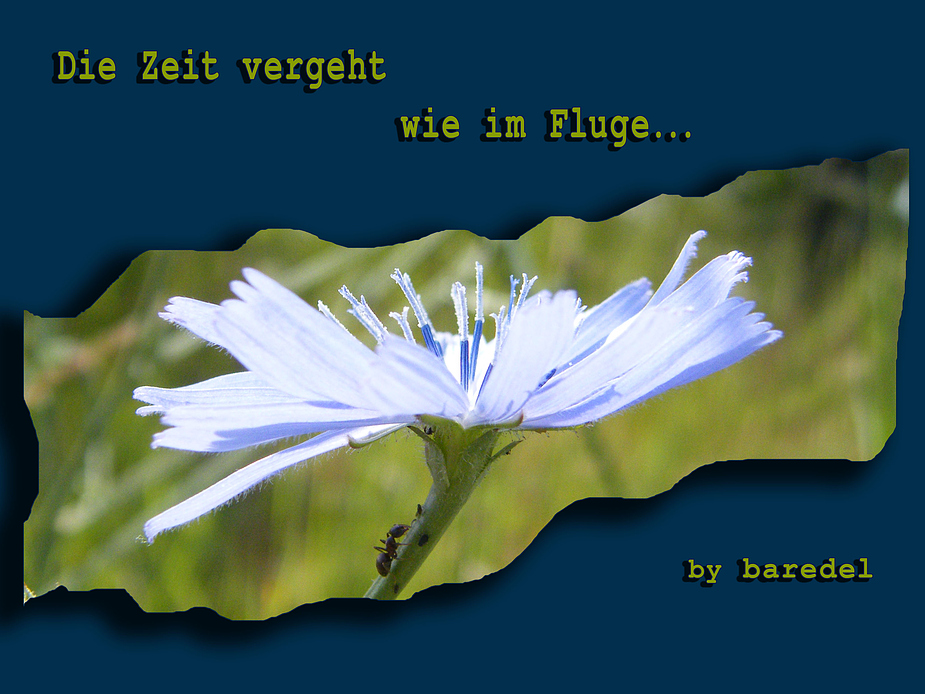 Die Zeit vergeht wie im Fluge... deshalb sende ich Euch einfach mal