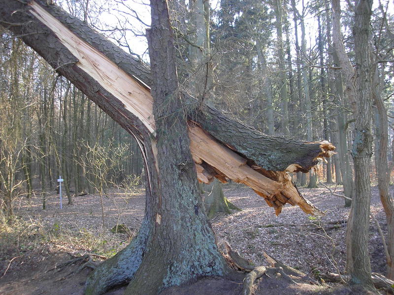 Die Zerstörungskraft der Natur