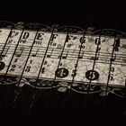 Die Zither