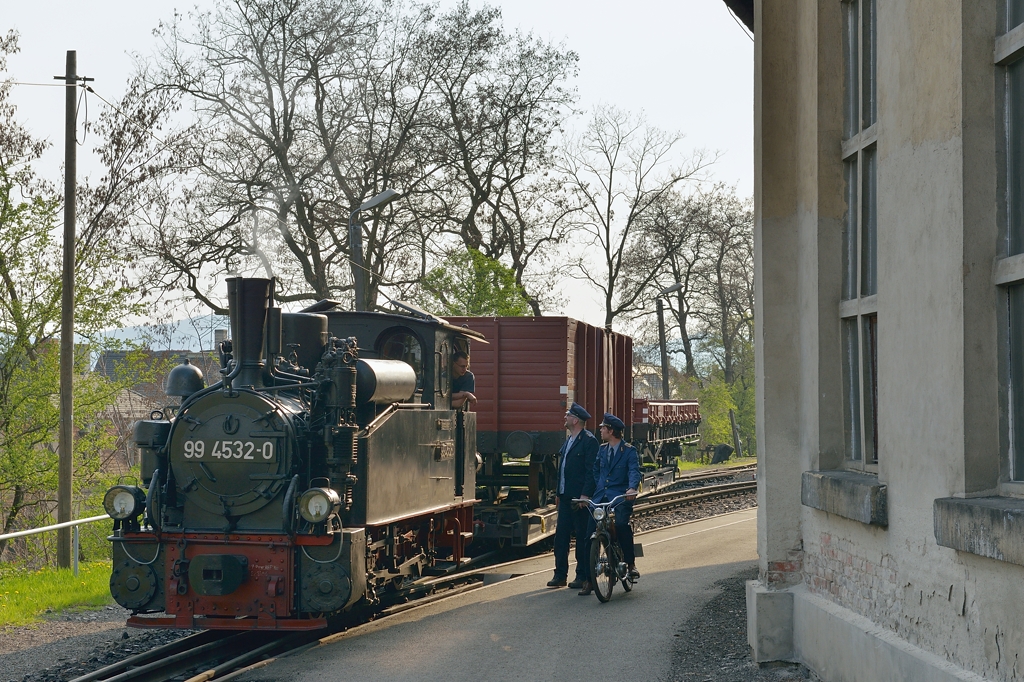 Die Zittauer Hofdame