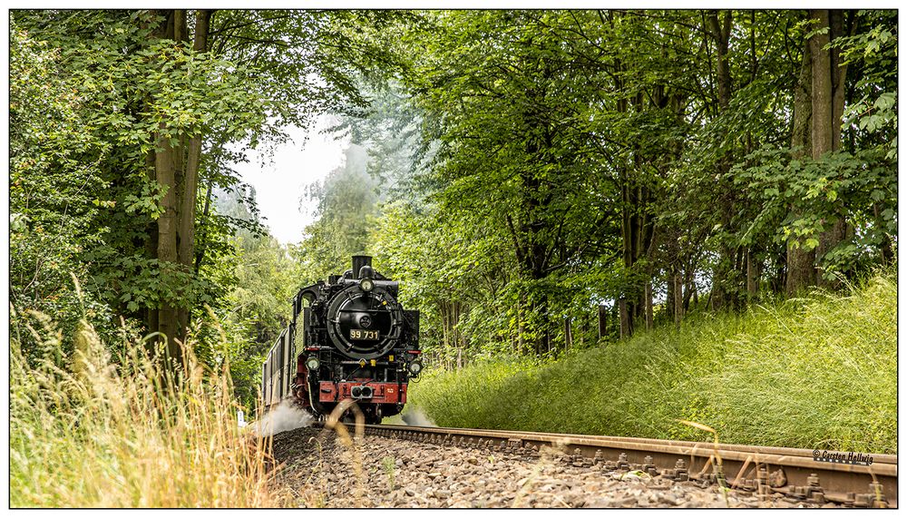 Die Zittauer Schmalspurbahn