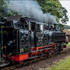 Die Zittauer Schmalsurbahn