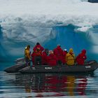 Die Zodias spiegeln sich im Wasser