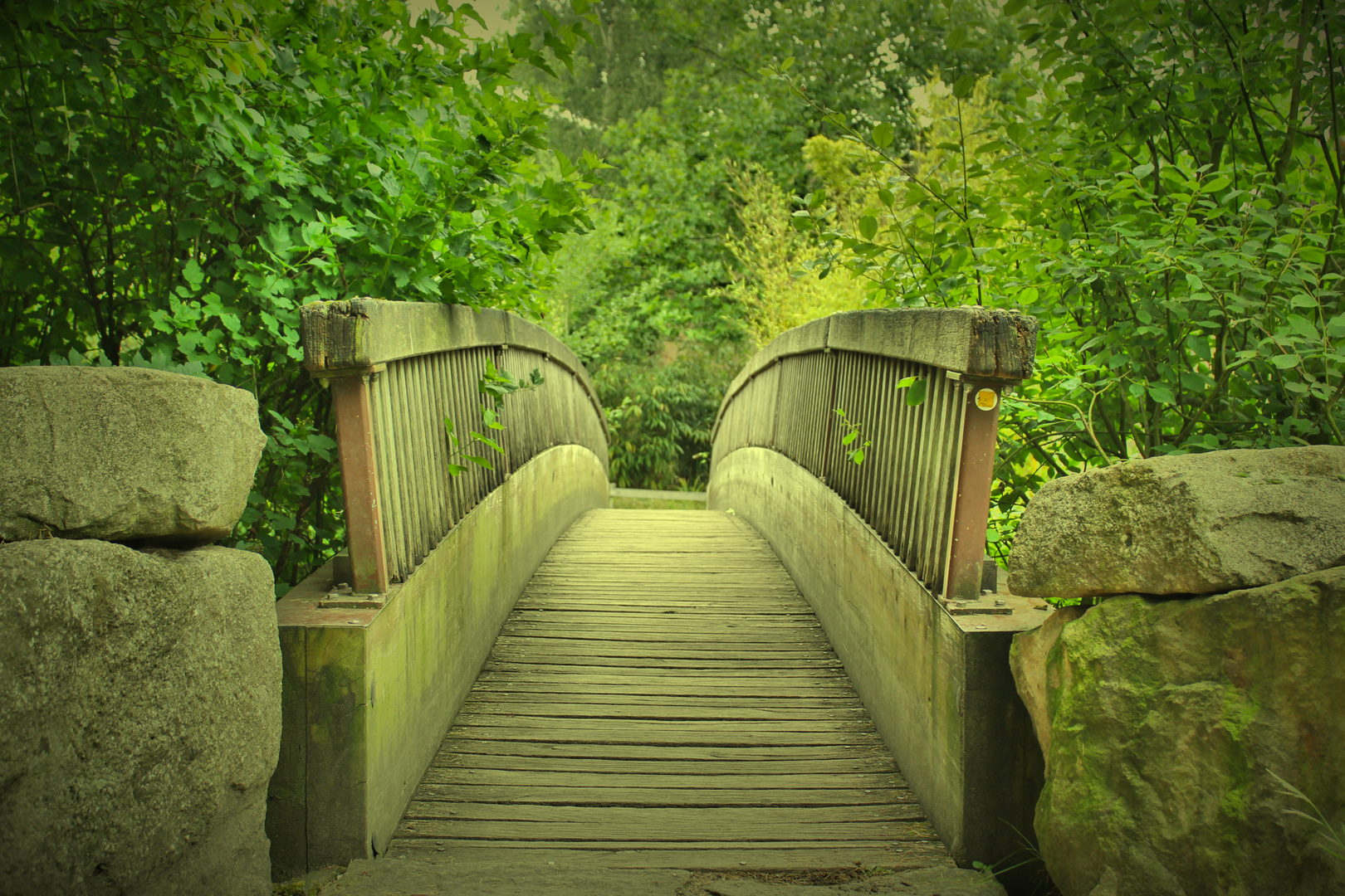 Die Zoobrücke