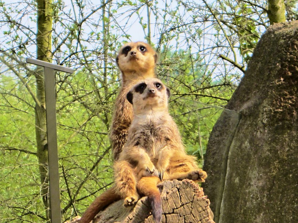 Die Zoom Erlebniswelt in Gelsenkirchen