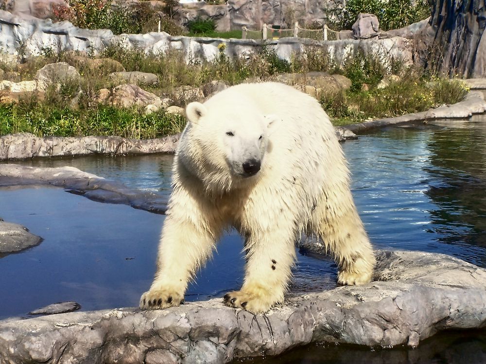 Die Zoom Erlebniswelt in Gelsenkirchen